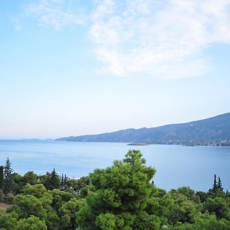 玛丽亚影城酒店 Poros Town 外观 照片